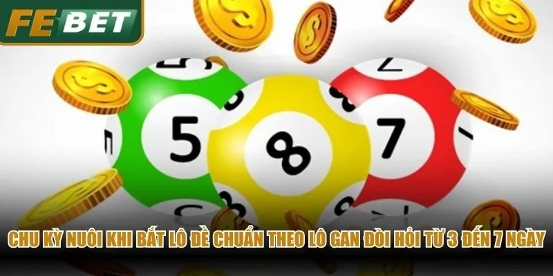 Chu kỳ nuôi khi bắt lô đề chuẩn theo lô gan đòi hỏi từ 3 đến 7 ngày
