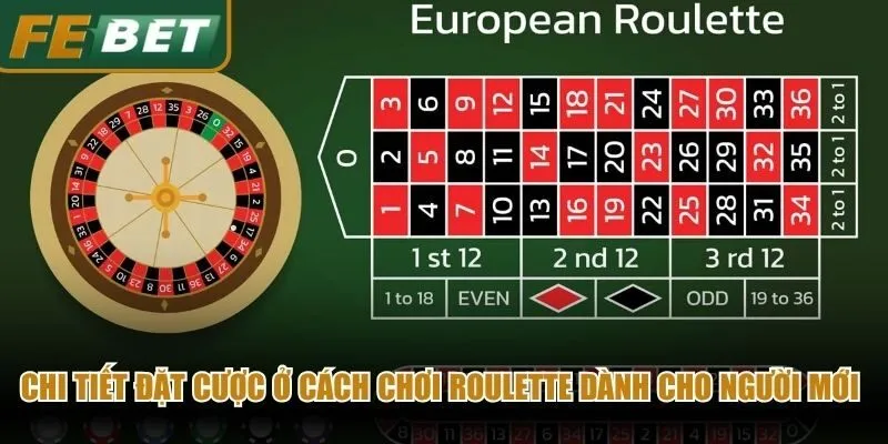 Chi tiết đặt cược ở cách chơi roulette dành cho người mới nhập môn