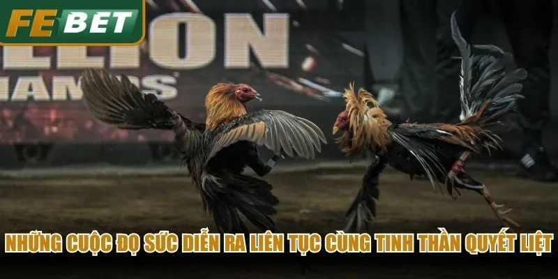 Những cuộc đọ sức diễn ra liên tục cùng tinh thần thi đấu quyết liệt