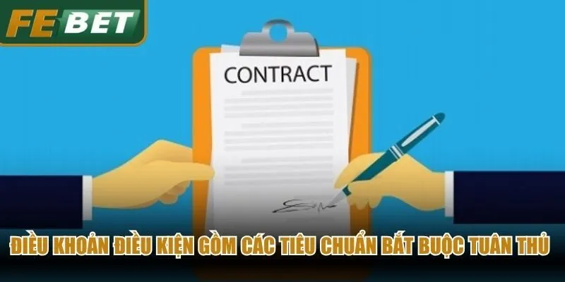 Điều khoản điều kiện gồm các tiêu chuẩn bắt buộc tuân thủ chặt