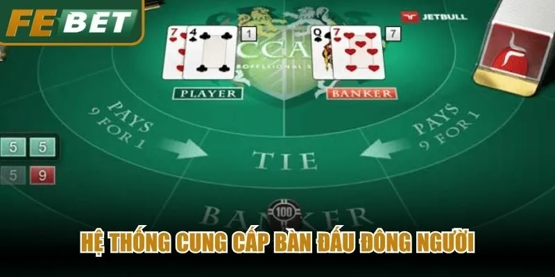 Hệ thống cung cấp bàn đấu đông người, tạo ra môi trường cạnh tranh